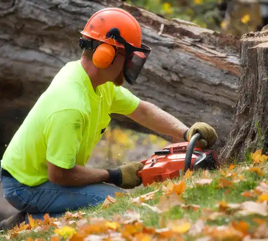 tree services Bluffton